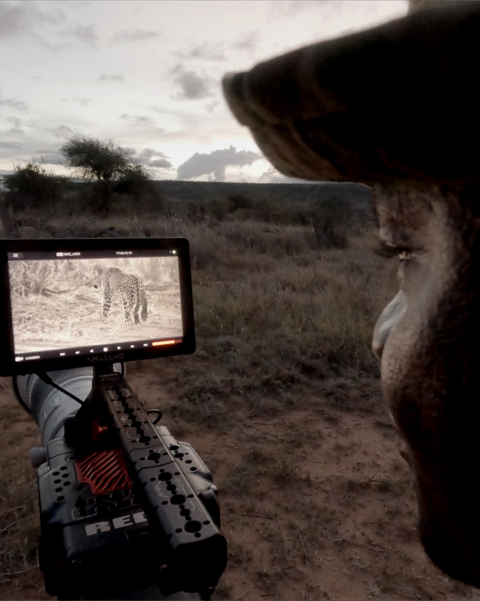 ClementWild--Ranger-Lochomini-after-filming-Black-Leopard-Cub-2026